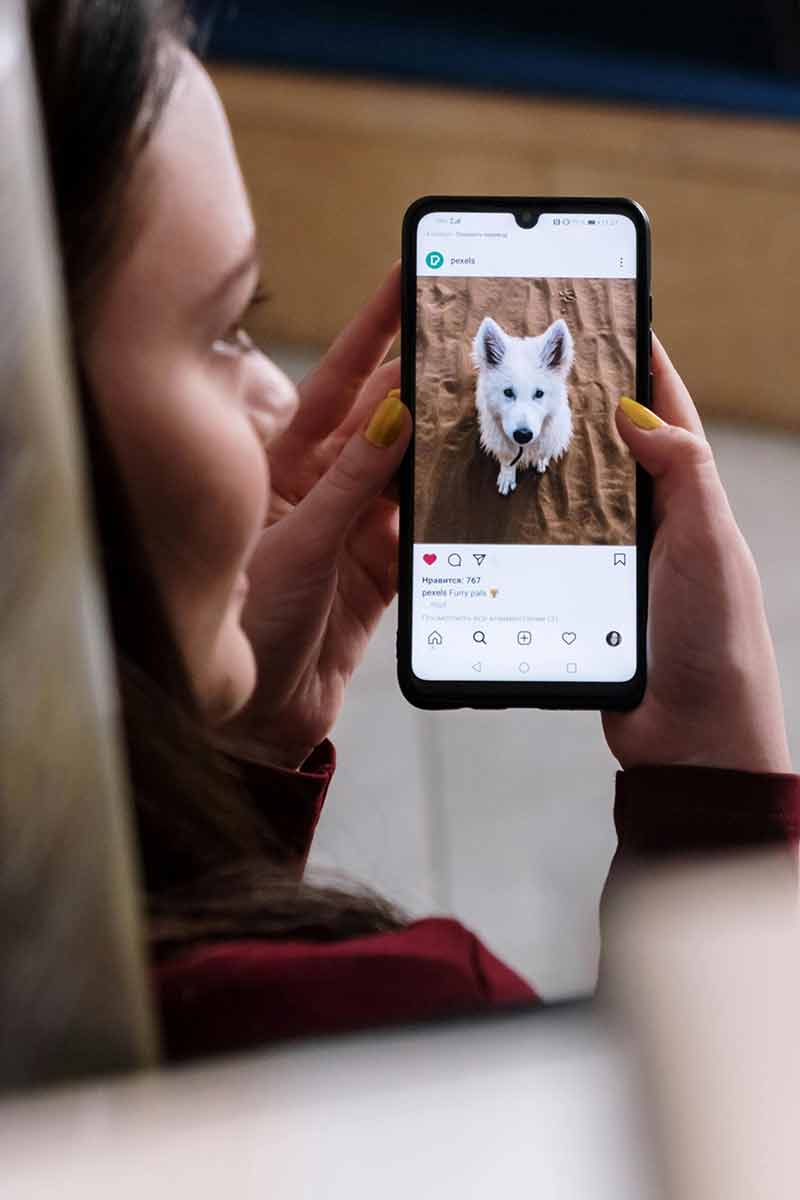 DIALOGUE AVEC LES ANIMAUX
